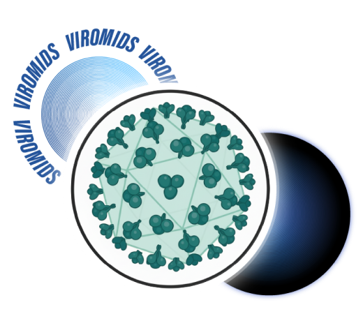 Viromids: A Redosable, Low-Cost Gene-Delivery Platform for Ocular Therapy