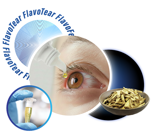 FlavoTear: Baicalein - A Novel Disease Platform for Ocular Therapy