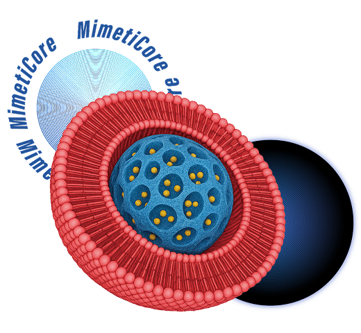 Mimeticore: Biomimetics Nanoplatform for the Treatment of Retinal Diseases