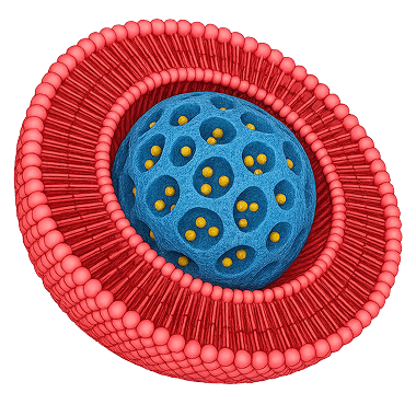 Biomimetics Nanoplatform