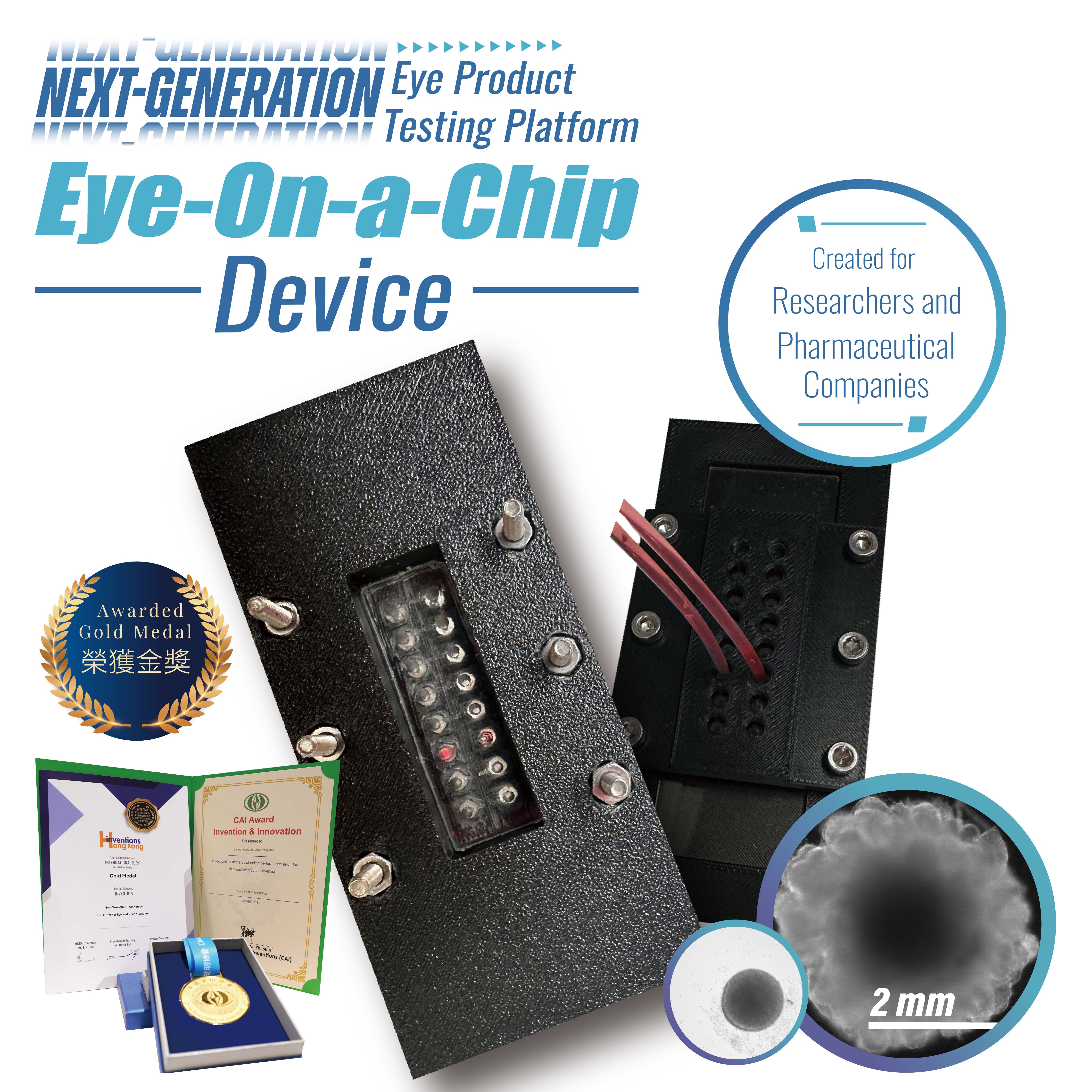 An Organoid Platform and Cell-Based Platform for Ocular Therapeutic Development